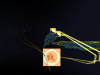 HOMEWORLD 2023-12-30 10-01-39-39